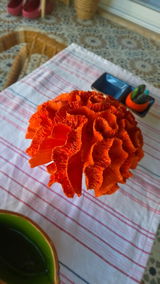 Asli Orhun review photo