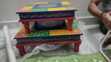Sobha Gehlot review photo