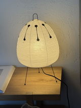 Ava T review photo