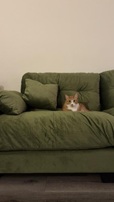 Pet Friendly review photo