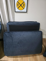 travis review photo