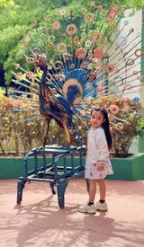 Rashmita Mohanty review photo