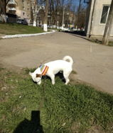 Lieve Dorens review photo
