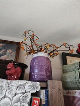 Leeta D Van Holten review photo