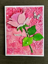 Amy S.M. review photo