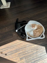 Anonymous review photo