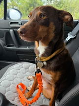 Gary F. review photo