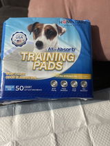Raydiry review photo