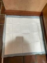 FABI review photo