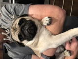 Susan Irving review photo