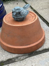 Helen Thomson review photo