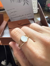Jaryn Pitkowsky review photo