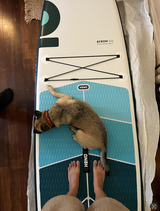 Maizie review photo