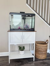 Jennifer Taylor review photo