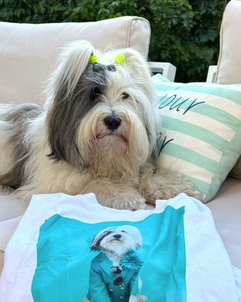 Shirt Styled Dogs – Tibet-Terrier