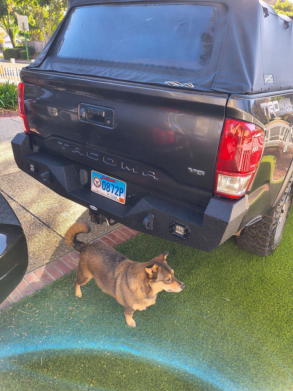 Hooke Road Steel Rear Bumper w/18W LED Floodlights(2016-2023 Toyota Tacoma)