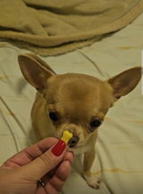 Mari review photo
