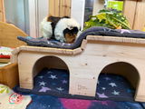 Brina review photo