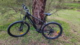Dan Zag review photo