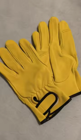 Cassin Dore review photo