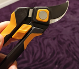 neverb review photo