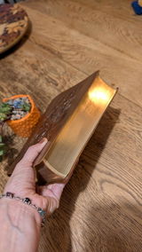 Noily Alpizar review photo