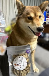 さくそら review photo