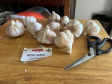 Keith Holsted review photo