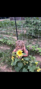 Phillips Nursery and Produce review photo