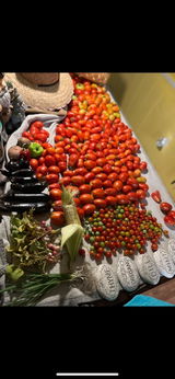 Phillips Nursery and Produce review photo