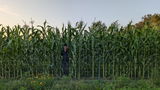 Farmer Dave review photo
