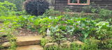 Charles Ellenburg review photo
