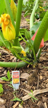 Charles Ellenburg review photo
