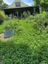 Shiloh Farm Homestead review photo