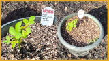 Martha Hershberger review photo