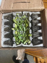 Resourceful Living Homestead review photo