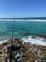 Jamesfishing64 (. review photo