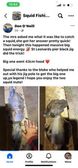 Squid s. review photo