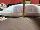 Juan review photo