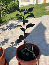 Владислав review photo