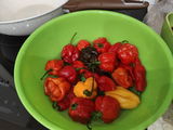 Христо К. review photo