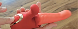 Des review photo