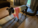 Maddy B. review photo