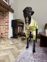 Tia review photo