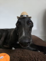 Tia review photo