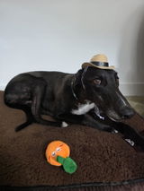 Tia review photo