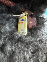 Bronwyn C. review photo