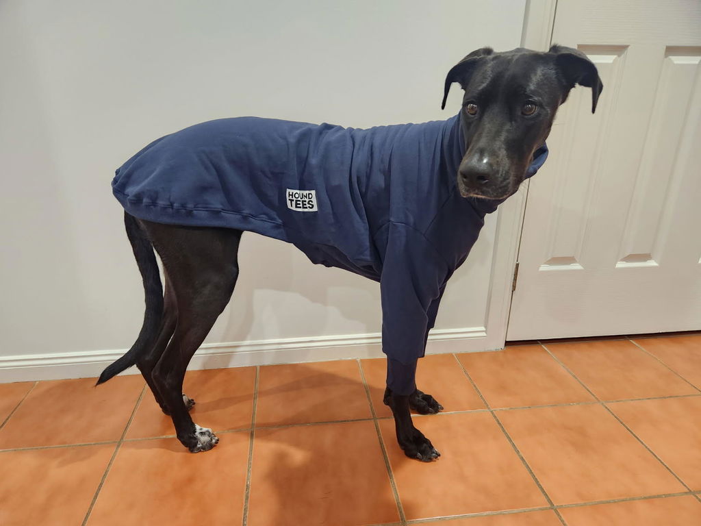 houndtees