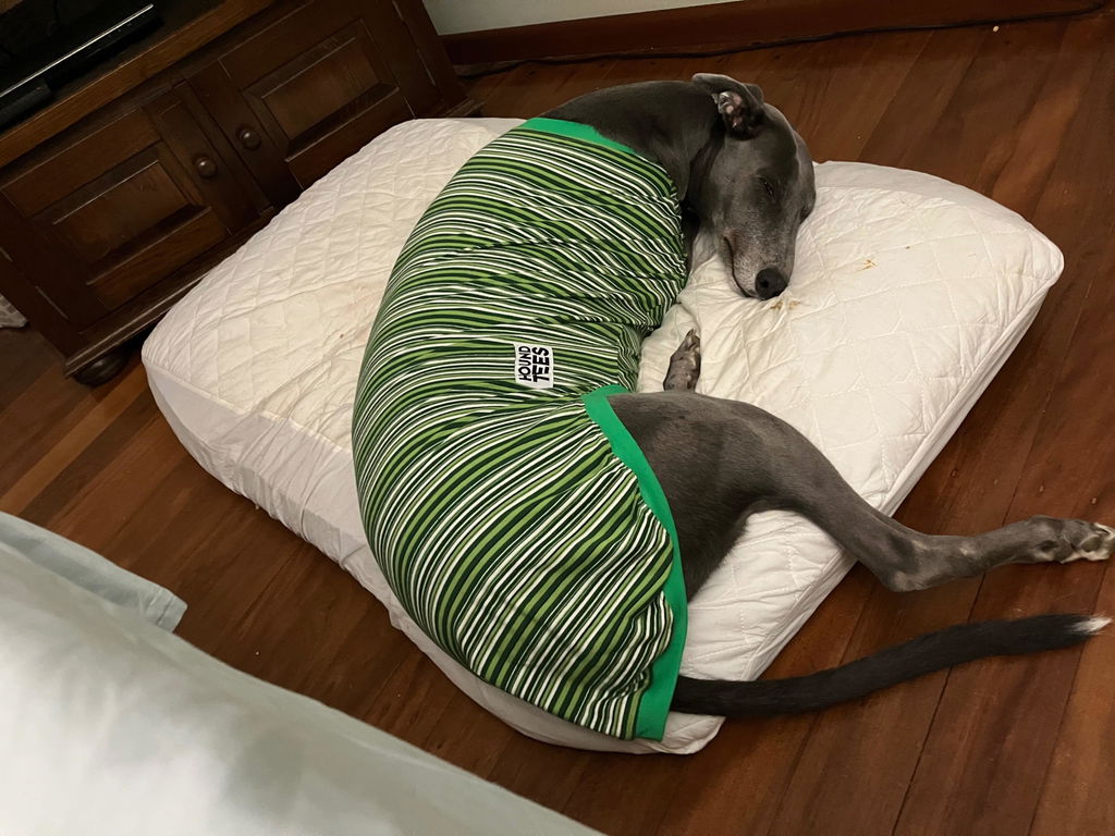 Humbug Greyhound Sleeveless Hound-Tee