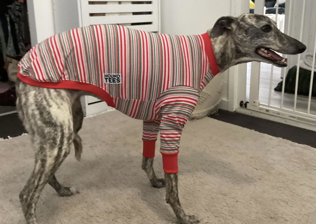 houndtees